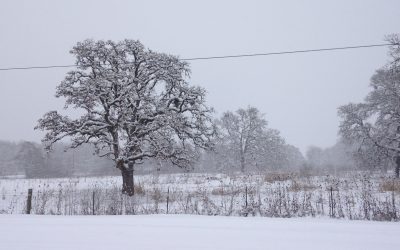 Through the Looking Glass: When Snow Came to Farmville
